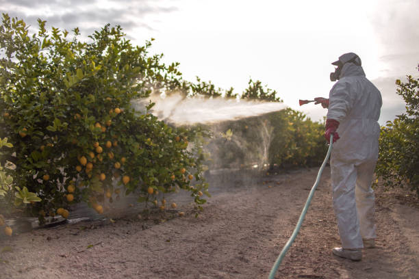 Best Emergency Pest Control  in Medina, NY