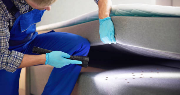 Best Best Pest Control Near Me  in Medina, NY