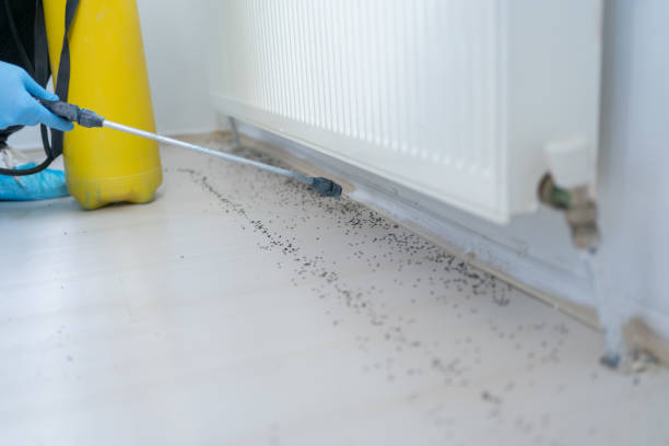 Best Commercial Pest Control Services  in Medina, NY