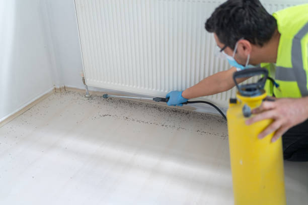 Best Pest Control Treatment  in Medina, NY