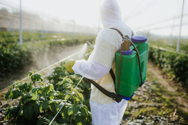Best Flea Control Services  in Medina, NY